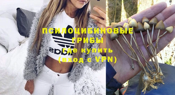 ешки Алзамай