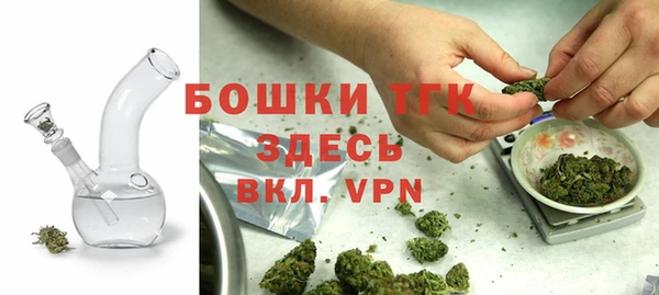 ешки Алзамай
