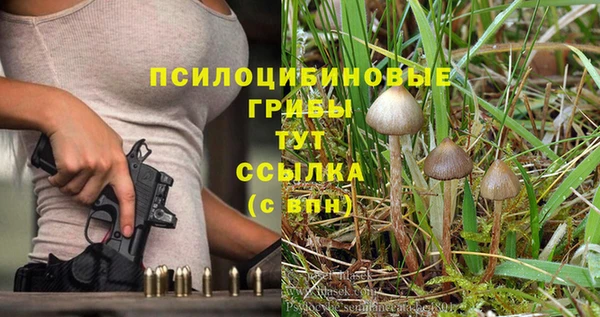 гашик Алексеевка