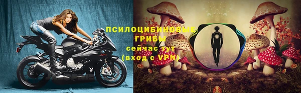 гашик Алексеевка