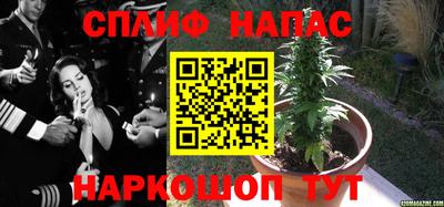 каннабис Баксан