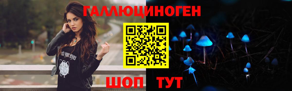 Псилоцибиновые грибы Cubensis Новокубанск