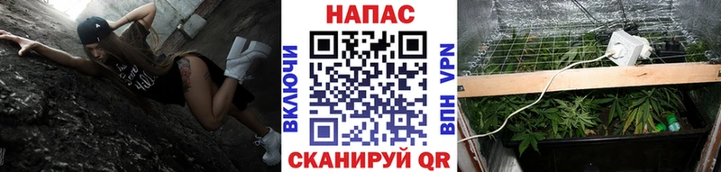 закладка Новокубанск Бошки марихуана OG Kush